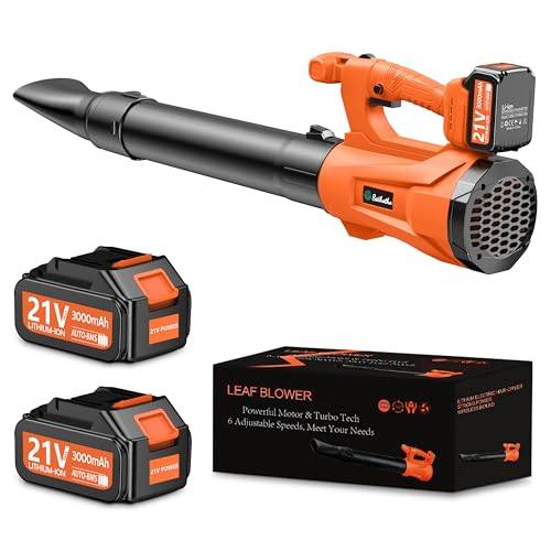 40% off Leaf Blower Cordless
