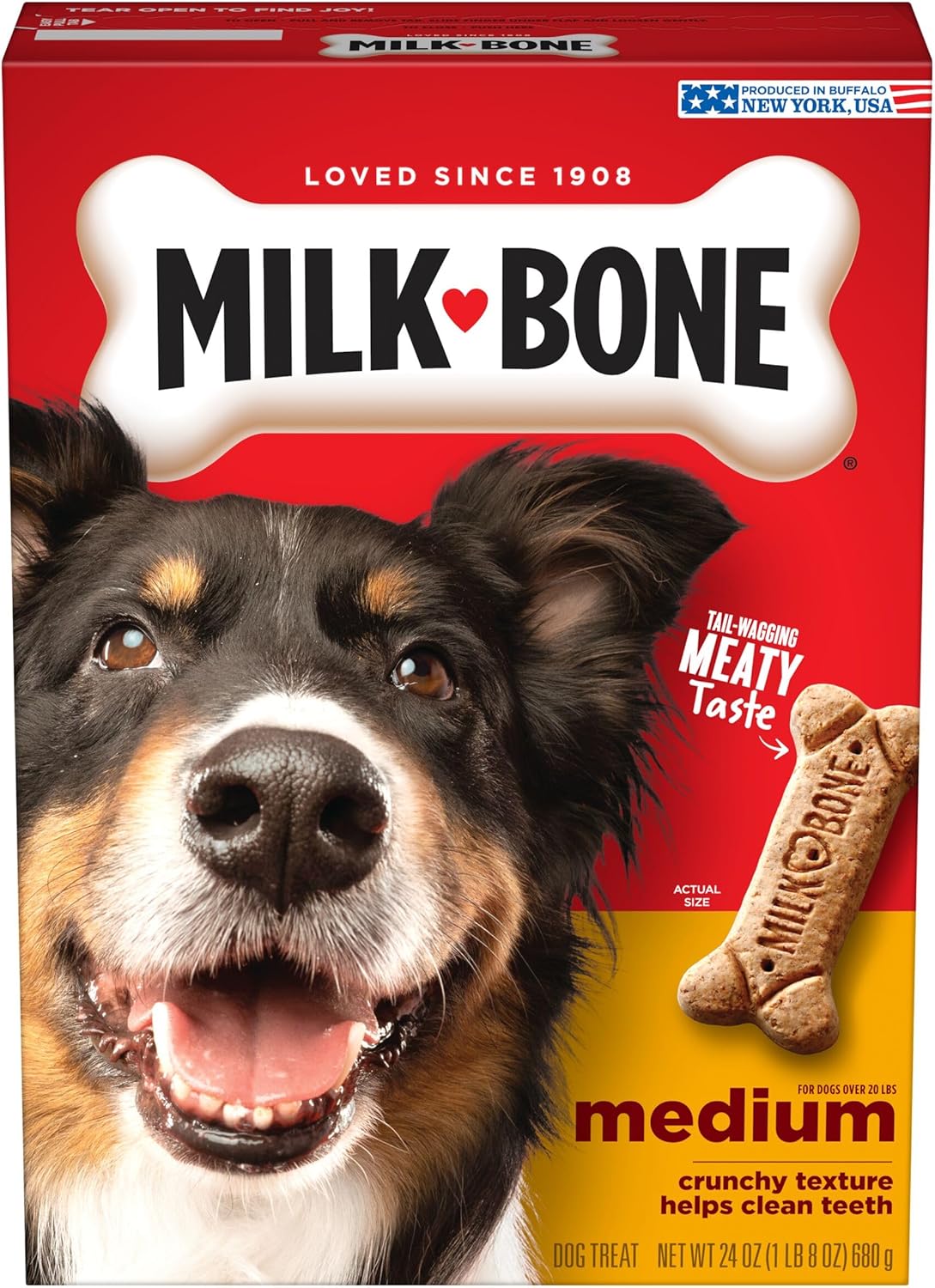 Milk-Bone Original Dog Treats Biscuits
